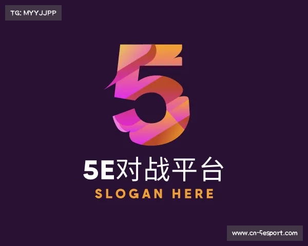 了解5e对战平台